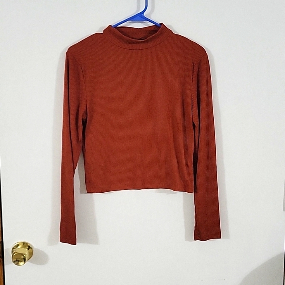 Crop mock turtleneck